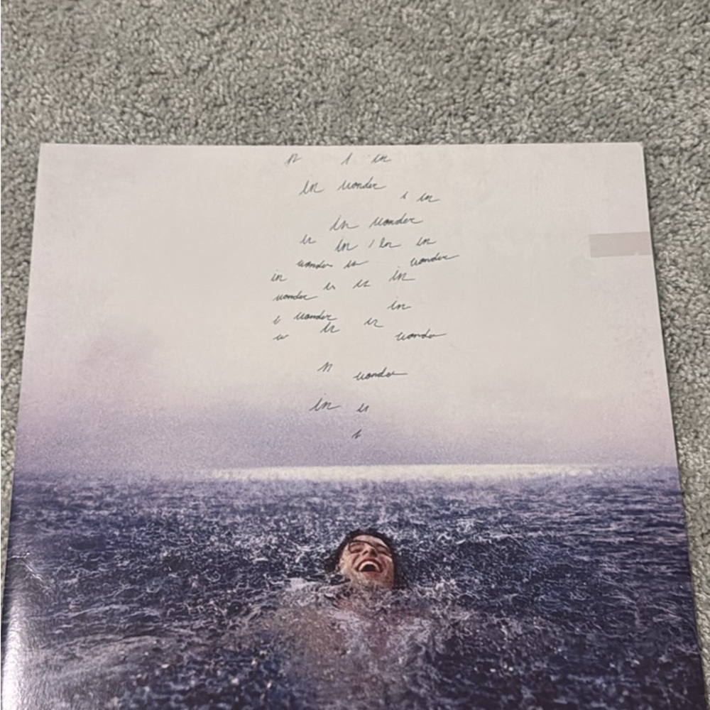 Shawn Mendes wonder vinyl